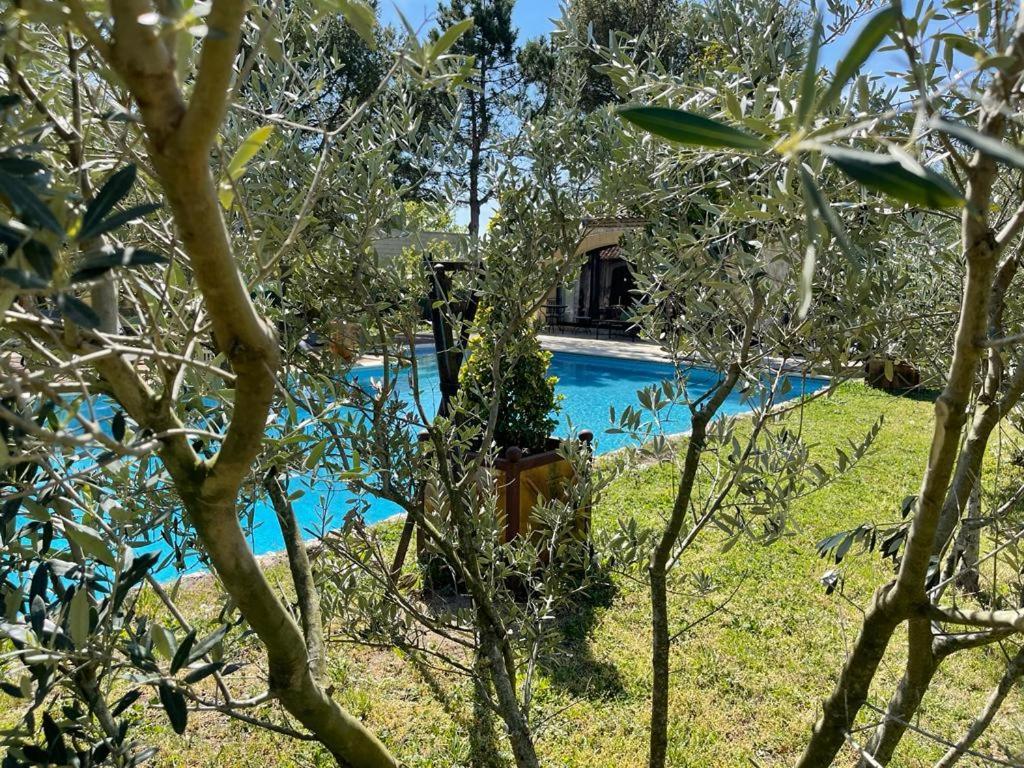 Gite Au Coeur De La Provence & Spa Сен-Канна Экстерьер фото