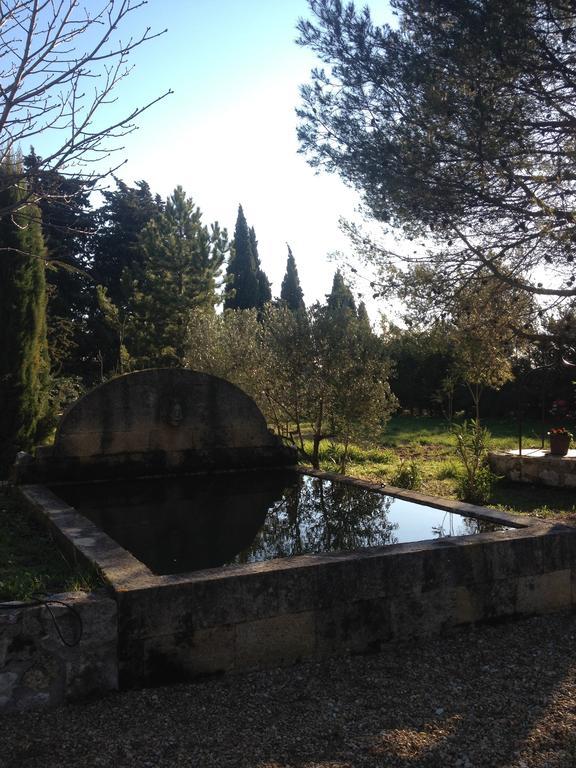 Gite Au Coeur De La Provence & Spa Сен-Канна Номер фото